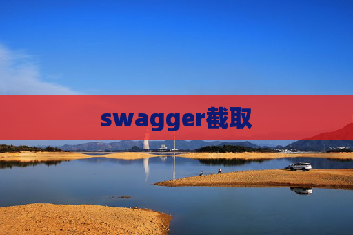 swagger截取